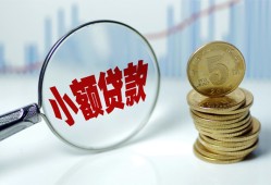 深圳31哪里可以小额贷款-深圳31哪里有民间借贷-深圳31民间短期私借借款